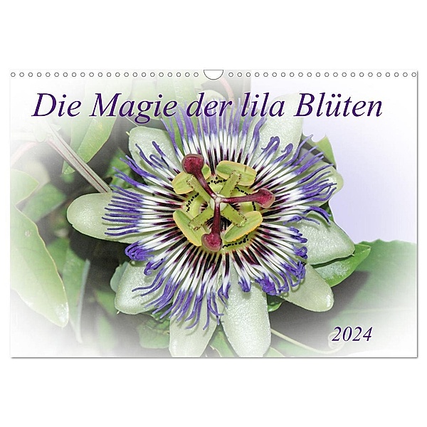 Die Magie der lila Blüten (Wandkalender 2024 DIN A3 quer), CALVENDO Monatskalender, Claudia Kleemann