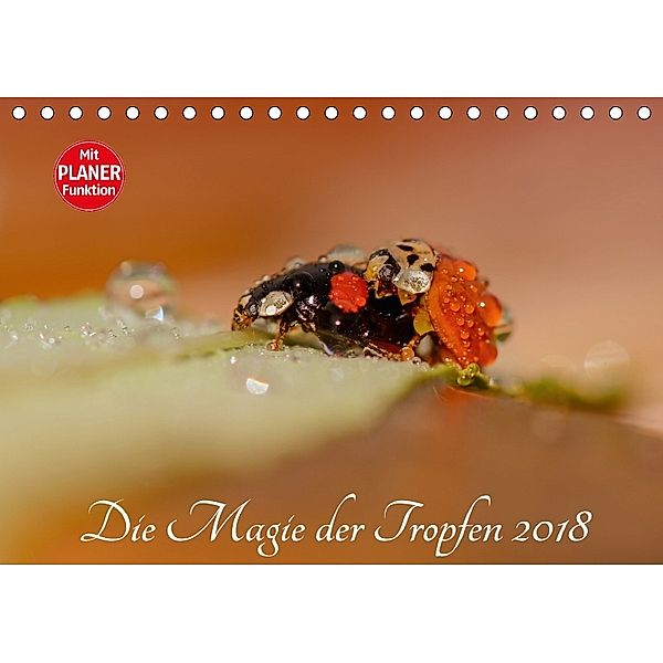 Die Magie der Tropfen 2018 (Tischkalender 2018 DIN A5 quer) Dieser erfolgreiche Kalender wurde dieses Jahr mit gleichen, Anna Kropf