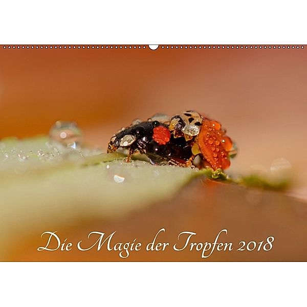 Die Magie der Tropfen 2018 (Wandkalender 2018 DIN A2 quer), Anna Kropf