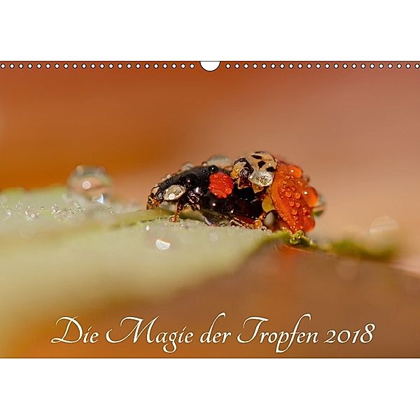 Die Magie der Tropfen 2018 (Wandkalender 2018 DIN A3 quer), Anna Kropf