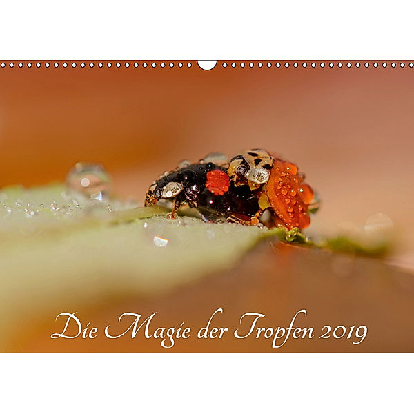 Die Magie der Tropfen 2019 (Wandkalender 2019 DIN A3 quer), Anna Kropf