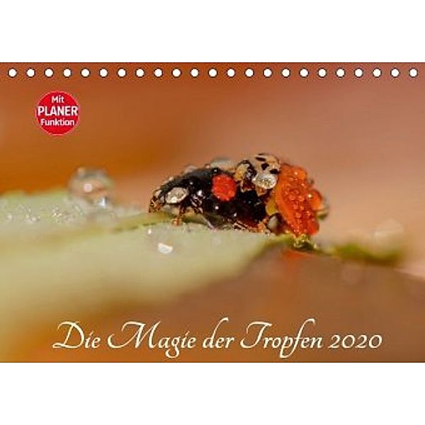 Die Magie der Tropfen 2020 (Tischkalender 2020 DIN A5 quer), Anna Kropf