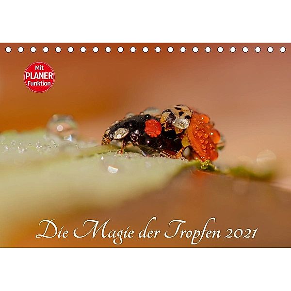 Die Magie der Tropfen 2021 (Tischkalender 2021 DIN A5 quer), Anna Kropf