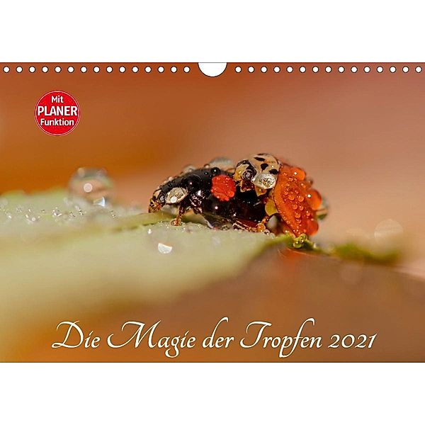 Die Magie der Tropfen 2021 (Wandkalender 2021 DIN A4 quer), Anna Kropf