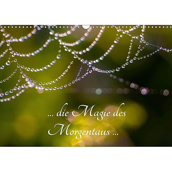 ... die Magie des Morgentaus ... (Wandkalender 2020 DIN A3 quer), Frances Kron