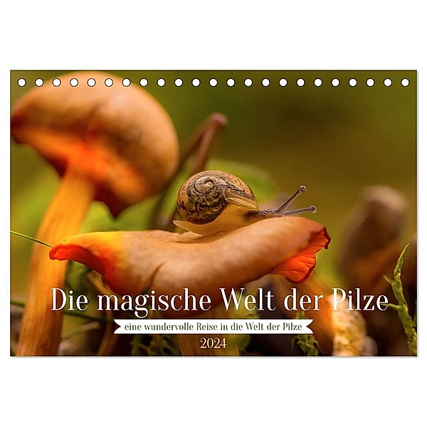 Die magische Welt der Pilze (Tischkalender 2024 DIN A5 quer), CALVENDO Monatskalender, Simone Sperber