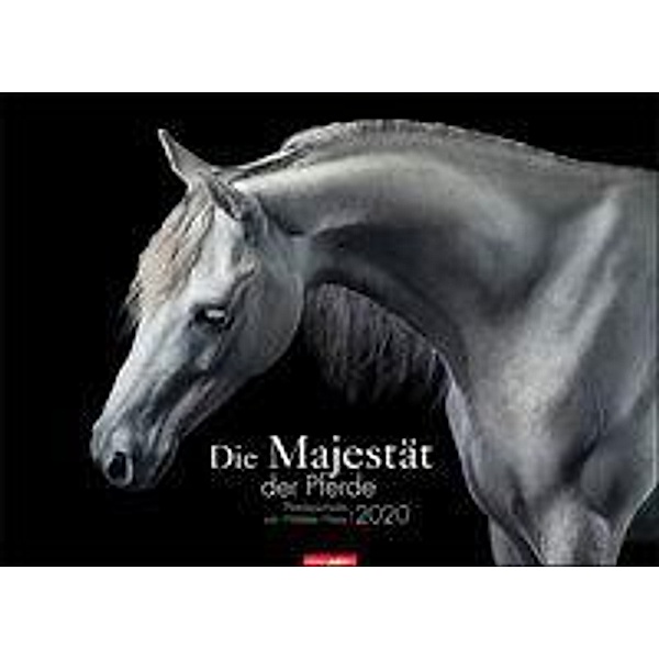 Die Majestät der Pferde 2020, Wiebke Haas
