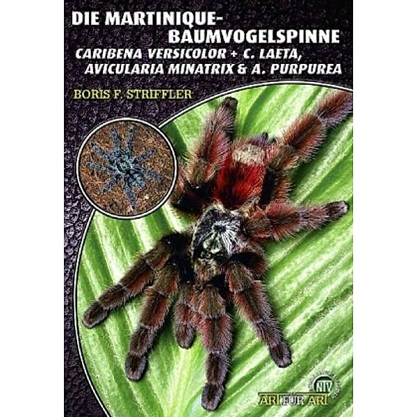 Die Martinique-Baumvogelspinne, Boris F. Striffler