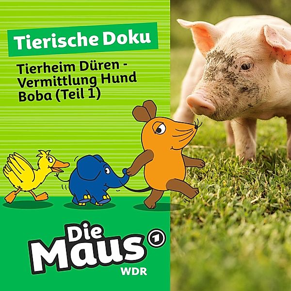 Die Maus - 6 - Tierheim Düren - Vermittlung Hund Boba (Teil 1), Die Maus