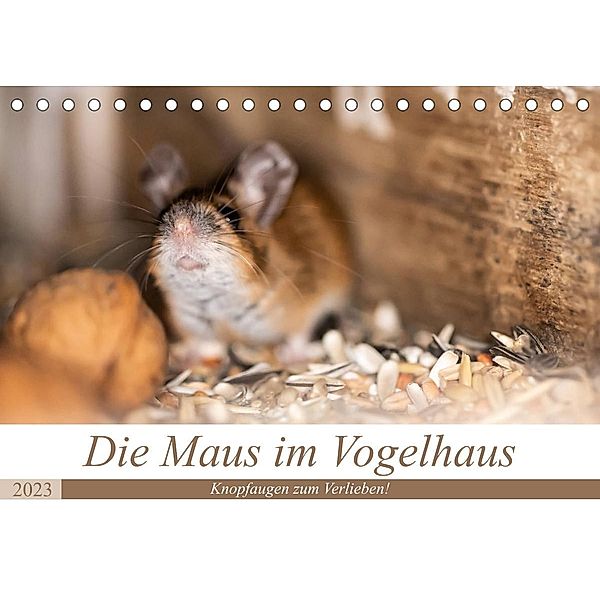 Die Maus im Vogelhaus (Tischkalender 2023 DIN A5 quer), Passion Photography by Nicole Peters