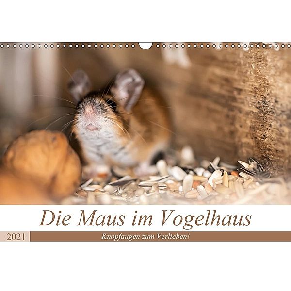 Die Maus im Vogelhaus (Wandkalender 2021 DIN A3 quer), Passion Photography by Nicole Peters