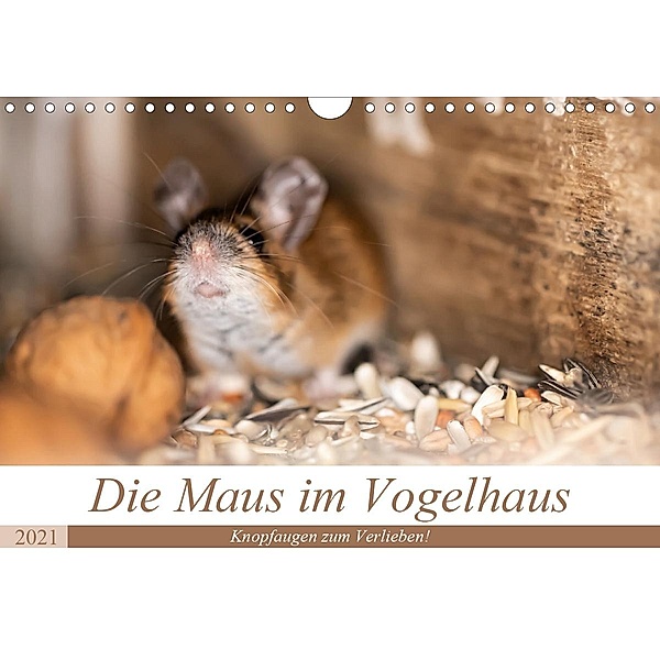 Die Maus im Vogelhaus (Wandkalender 2021 DIN A4 quer), Passion Photography by Nicole Peters