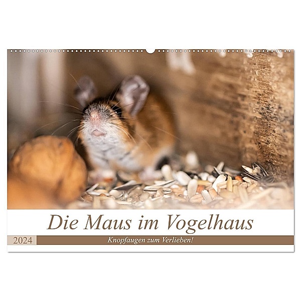 Die Maus im Vogelhaus (Wandkalender 2024 DIN A2 quer), CALVENDO Monatskalender, Passion Photography by Nicole Peters