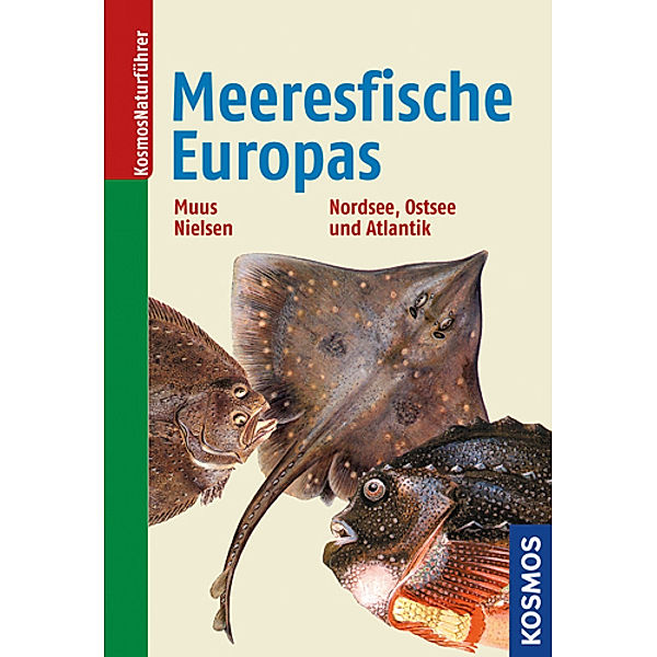 Die Meeresfische Europas, Bent J. Muus, Jorgen G. Nielsen