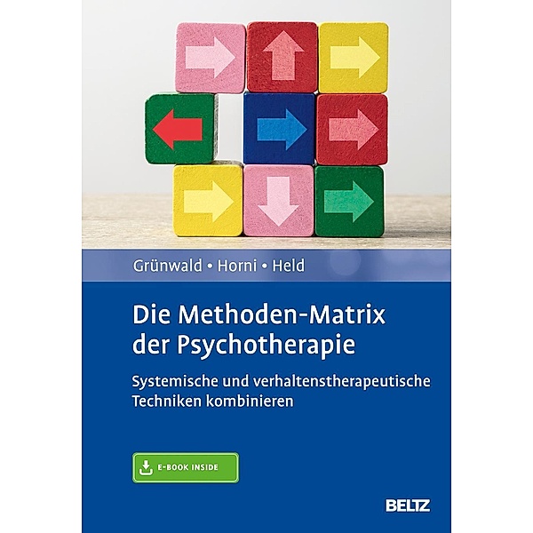 Die Methoden-Matrix der Psychotherapie, m. 1 Buch, m. 1 E-Book, Hugo Grünwald, Beatrix Horni, Torsten Held