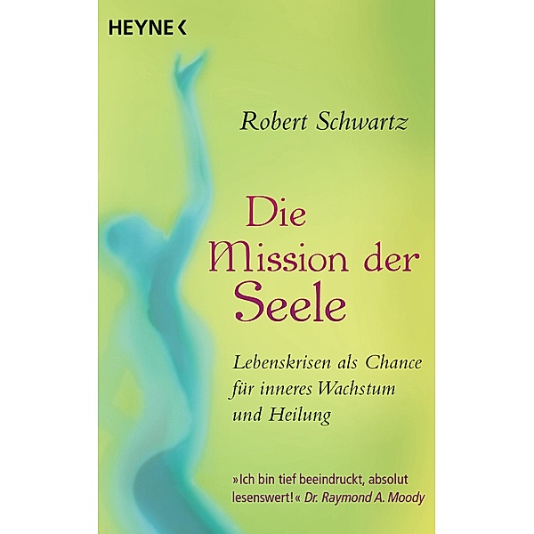 Die Mission der Seele, Robert Schwartz