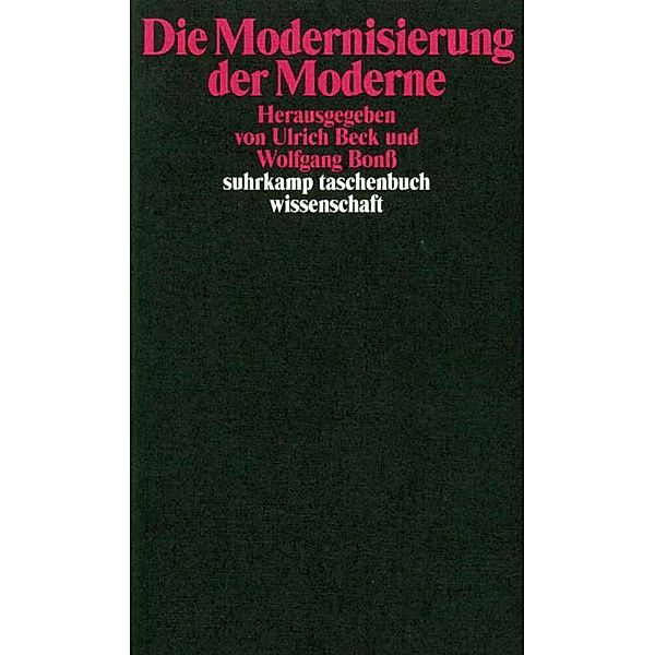 Die Modernisierung der Moderne