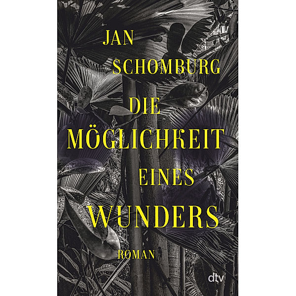 Die Möglichkeit eines Wunders, Jan Schomburg