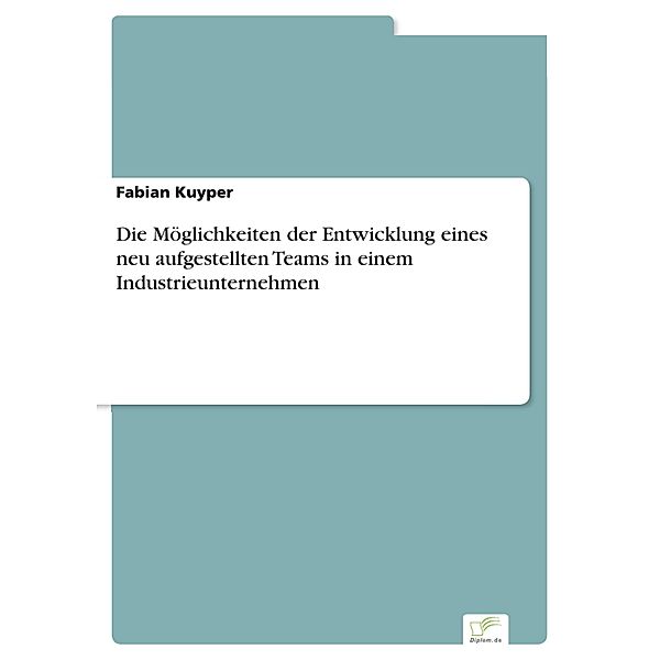 Die Möglichkeiten der Entwicklung eines neu aufgestellten Teams in einem Industrieunternehmen, Fabian Kuyper