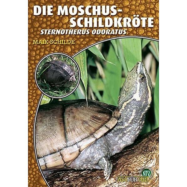 Die Moschusschildkröte, Maik Schilde