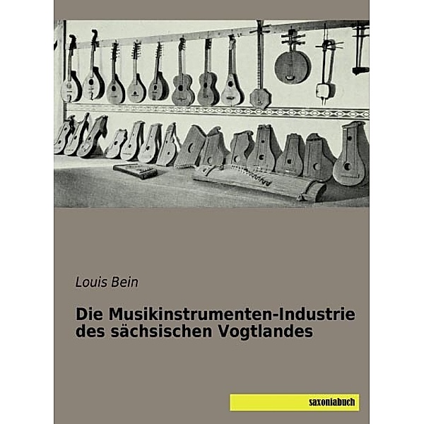 Die Musikinstrumenten-Industrie des sächsischen Vogtlandes, Louis Bein