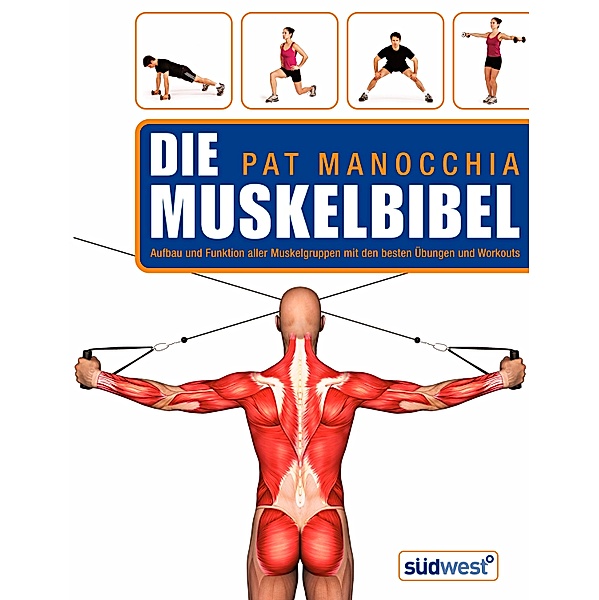 Die Muskelbibel, Pat Manocchia