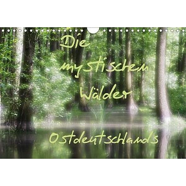 Die mystischen Wälder Ostdeutschlands (Wandkalender 2020 DIN A4 quer), Jeroen Everaars