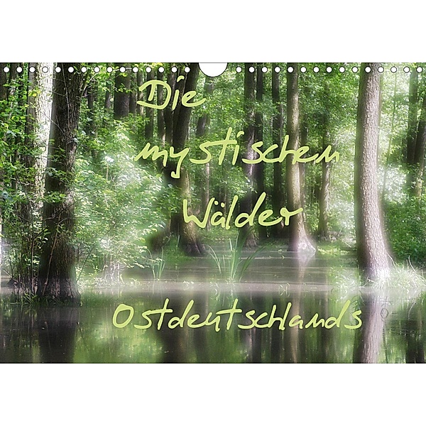 Die mystischen Wälder Ostdeutschlands (Wandkalender 2021 DIN A4 quer), Jeroen Everaars