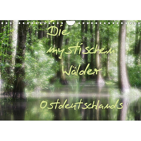 Die mystischen Wälder Ostdeutschlands (Wandkalender 2022 DIN A4 quer), Jeroen Everaars