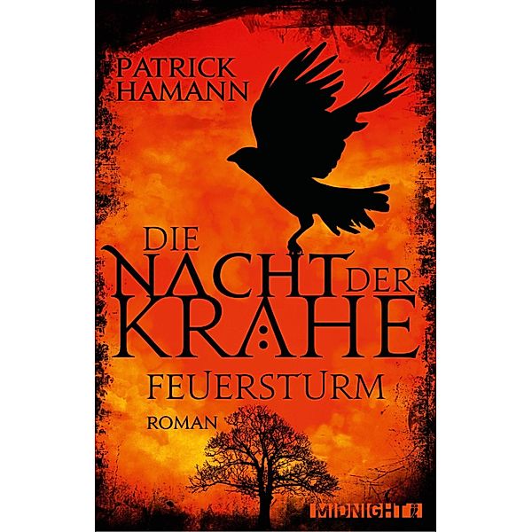 Die Nacht der Krähe - Feuersturm / Die Nacht der Krähe Bd.2, Patrick Hamann