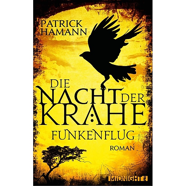 Die Nacht der Krähe - Funkenflug / Die Nacht der Krähe Bd.1, Patrick Hamann