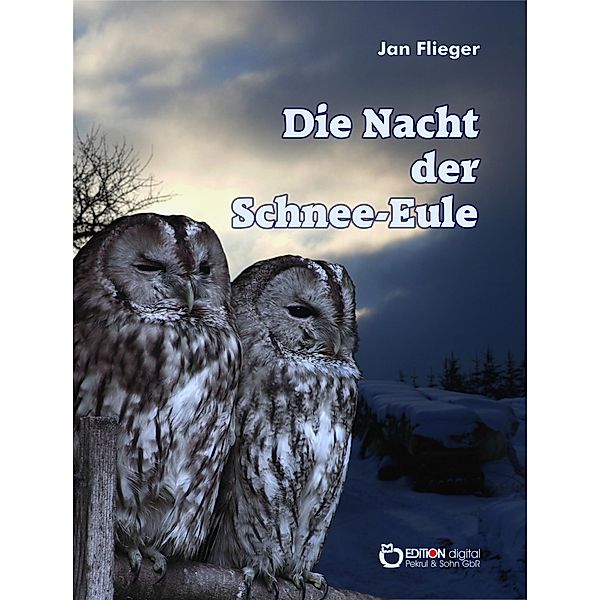 Die Nacht der Schnee-Eule, Jan Flieger