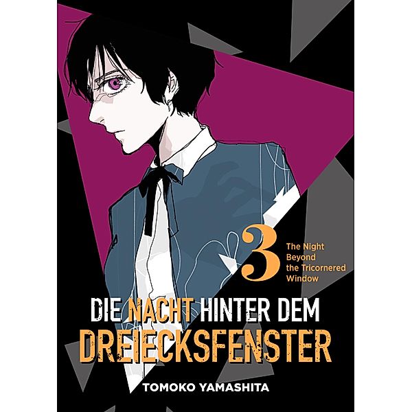 Die Nacht hinter dem Dreiecksfenster - The Night Beyond the Tricornered Window, Band 3 / Die Nacht hinter dem Dreiecksfenster - The Night Beyond the Tricornered Window Bd.3, Tomoko Yamashita