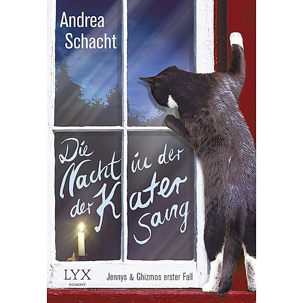 Die Nacht, in der der Kater sang / Jenny & Ghizmo Bd.1, Andrea Schacht