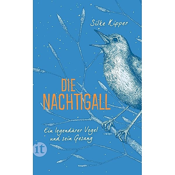 Die Nachtigall, Silke Kipper