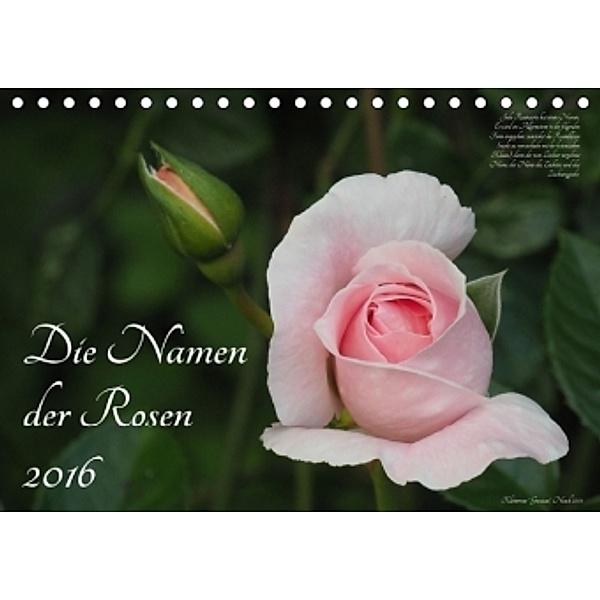 Die Namen der Rosen (Tischkalender 2016 DIN A5 quer), Klaus Rohwer