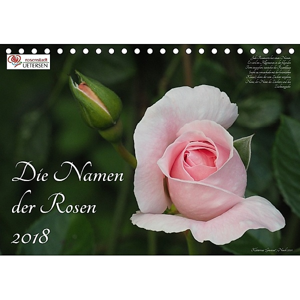 Die Namen der Rosen (Tischkalender 2018 DIN A5 quer), Klaus Rohwer