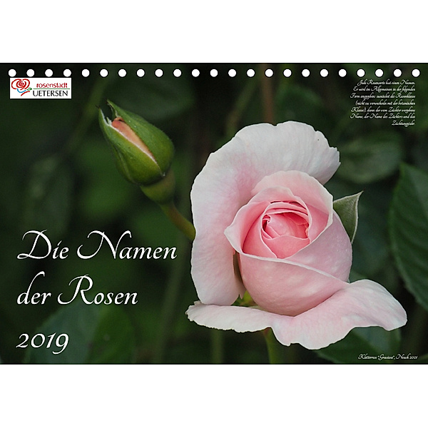 Die Namen der Rosen (Tischkalender 2019 DIN A5 quer), Klaus Rohwer