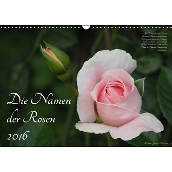 Die Namen der Rosen (Wandkalender 2016 DIN A3 quer), Klaus Rohwer