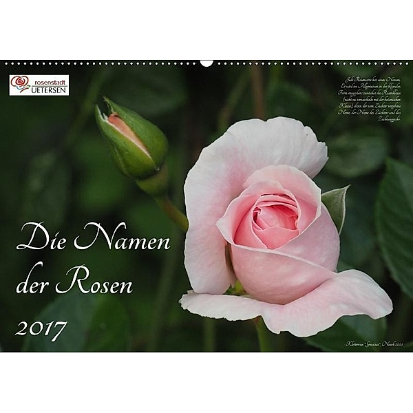 Die Namen der Rosen (Wandkalender 2017 DIN A2 quer), Klaus Rohwer