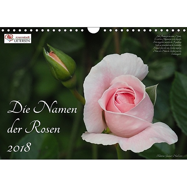 Die Namen der Rosen (Wandkalender 2018 DIN A4 quer), Klaus Rohwer