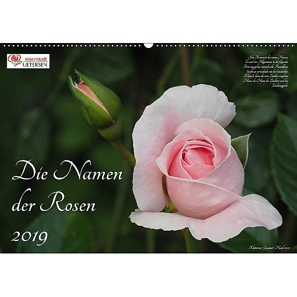 Die Namen der Rosen (Wandkalender 2019 DIN A2 quer), Klaus Rohwer