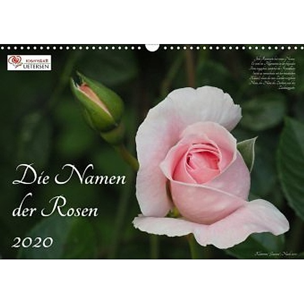 Die Namen der Rosen (Wandkalender 2020 DIN A3 quer), Klaus Rohwer