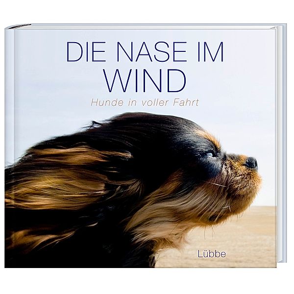 Die Nase im Wind