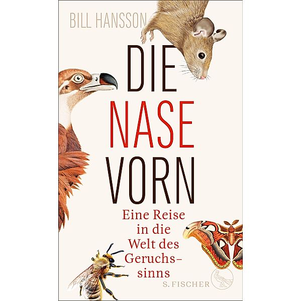 Die Nase vorn, Bill Hansson