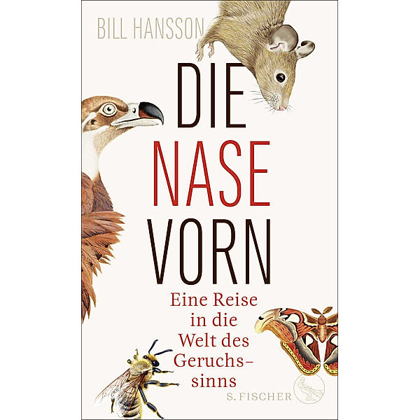 Die Nase vorn, Bill Hansson