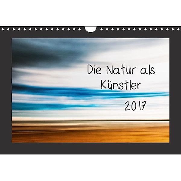 Die Natur als Künstler / CH-Version (Wandkalender 2017 DIN A4 quer), Kirsten Karius