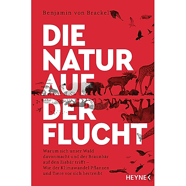 Die Natur auf der Flucht, Benjamin von Brackel