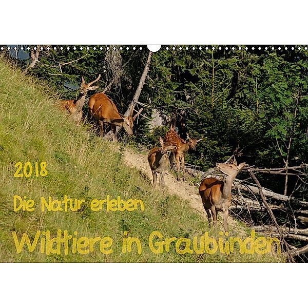 Die Natur erleben - Wildtiere in GraubündenCH-Version (Wandkalender 2018 DIN A3 quer), Jürg Plattner