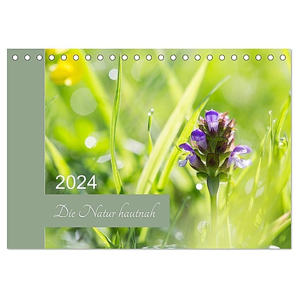 Die Natur hautnah (Tischkalender 2024 DIN A5 quer), CALVENDO Monatskalender, Martina Strudl